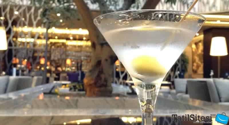 Ankara Hiltonsa Hotel